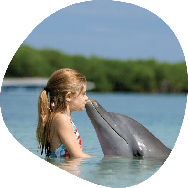 Иппотерапия или дельфинотерапия для детей